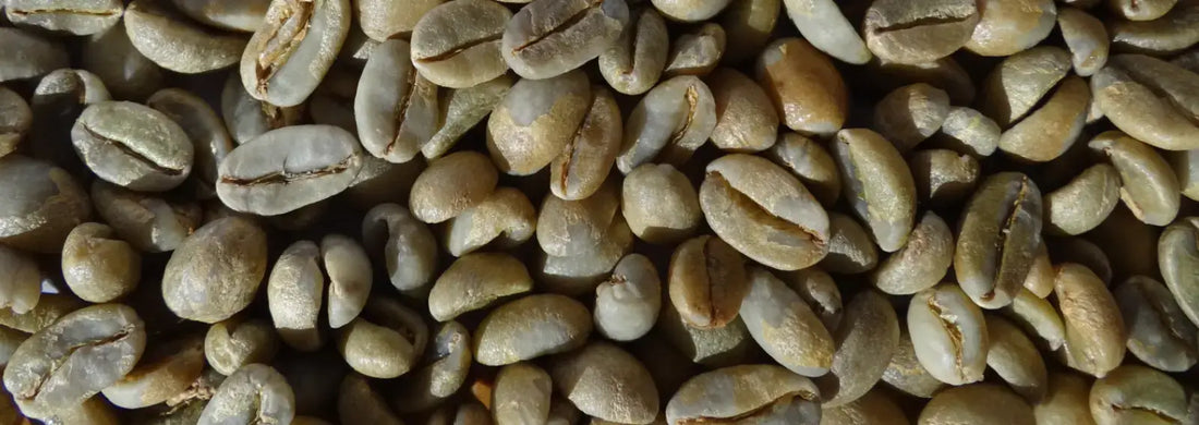 Rohkaffee lagern : Bewährte Verfahren und Tipps
