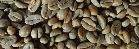 Rohkaffee lagern : Bewährte Verfahren und Tipps
