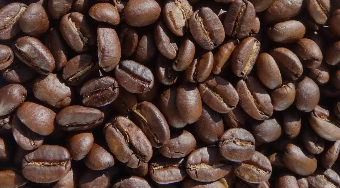 Kaffee aufbewahren: Wie bleibt Kaffee lange frisch