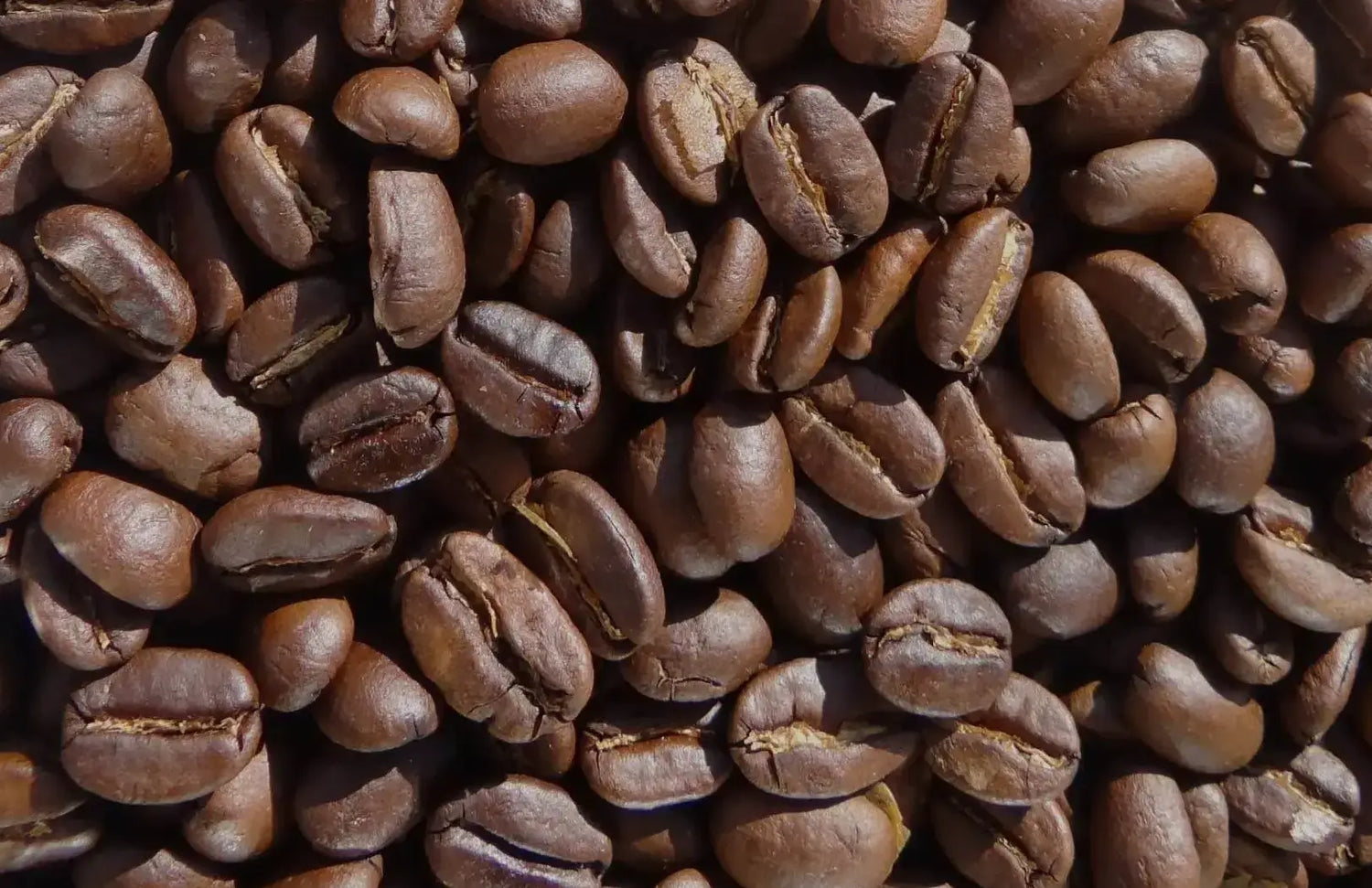 EastAfro Coffee, kaffeerösterei koblenz