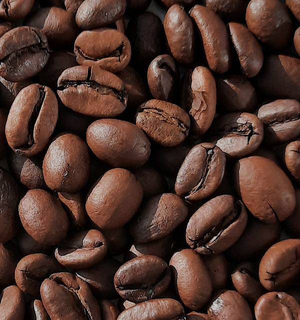 Sidamo Kaffee Grade 1 eastafro coffee