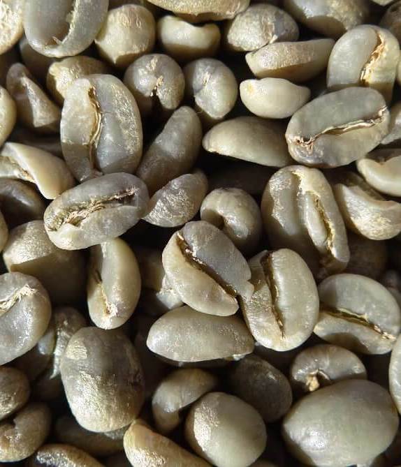 Rohkaffee yirgacheffe Grade 2