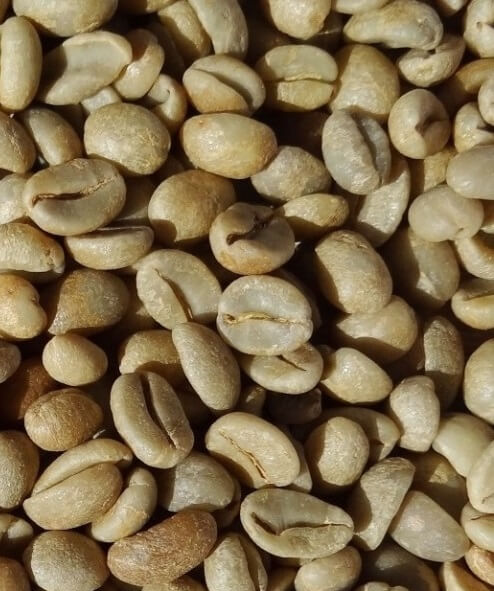 Rohkaffee Burundi Specialty Grade